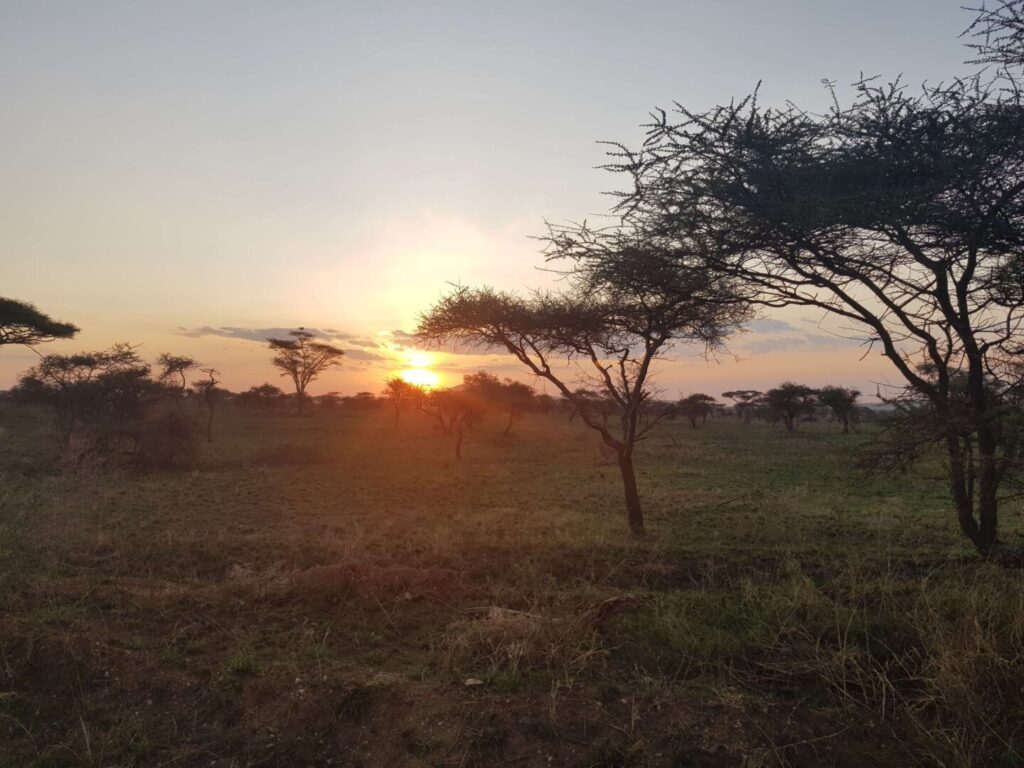 Il tramonto nella Savana