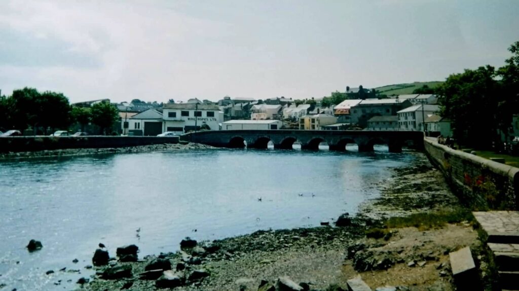 Wicklow town