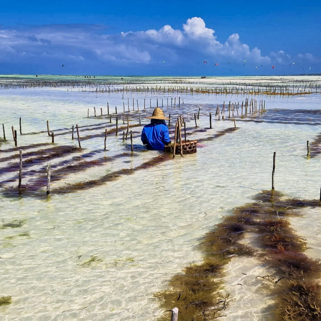 viaggio di gruppo a Zanzibar