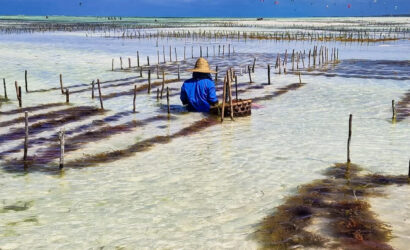 viaggio di gruppo a Zanzibar