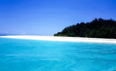 Mnemba island