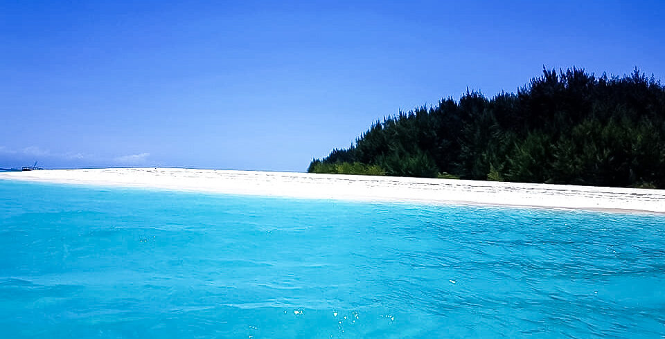 Mnemba island