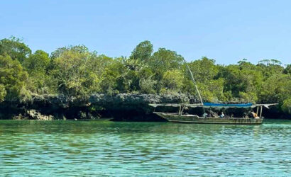 Safari blu Zanzibar